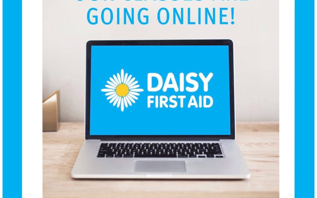 Online paediatric first aid course