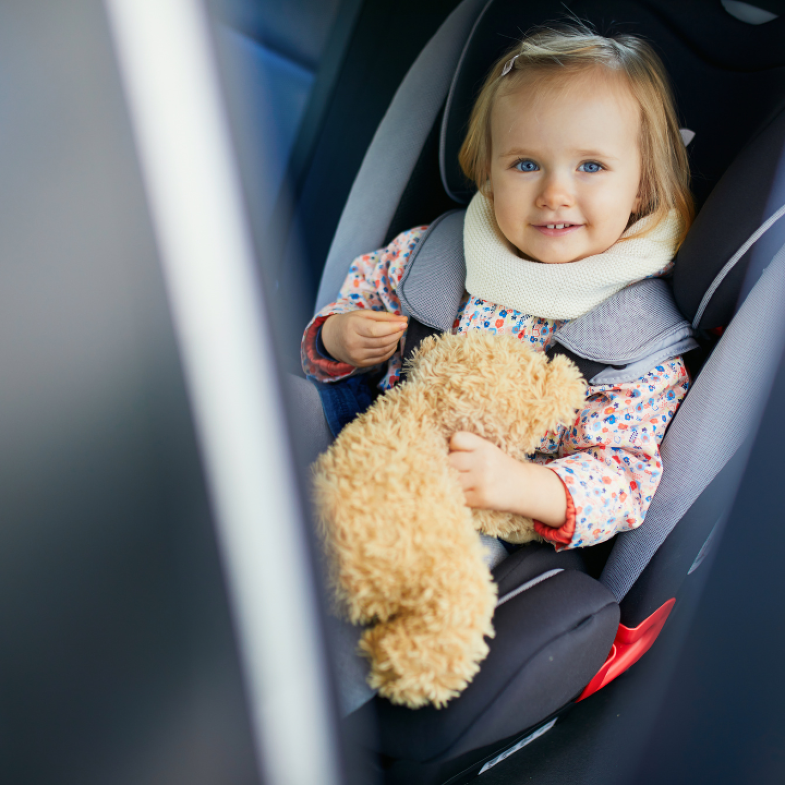 travelling-in-the-car-this-christmas-daisy-first-aid