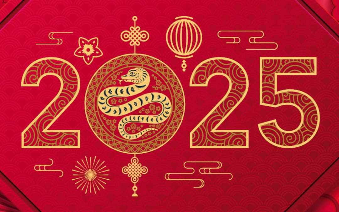 2025 – The Year of the Snake